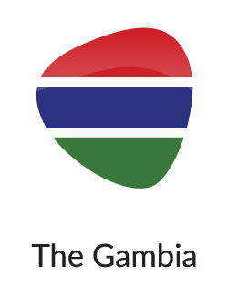 Ghambia B Grade Baby Diapers